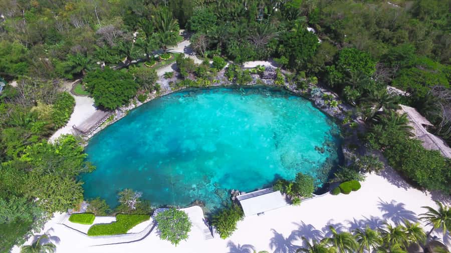 Cozumel: Chankanaab Park Admission+ Snorkel+ Welcome drink - The snorkeling portion, gear you get, and what you should look for