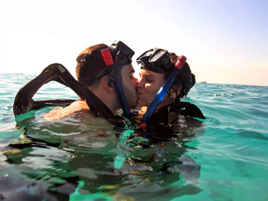 Cozumel: Chankanaab Park Admission+ Snorkel+ Welcome drink - Sea lion show access: why it’s worth timing into your day