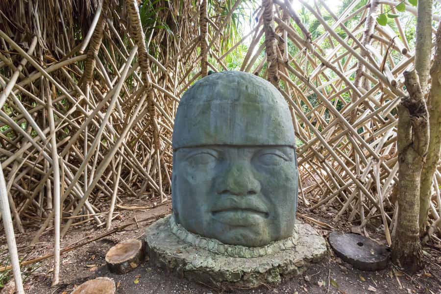 Cozumel: Chankanaab Park Admission+ Snorkel+ Welcome drink - Price and value: what you get for $33, and where extra money shows up