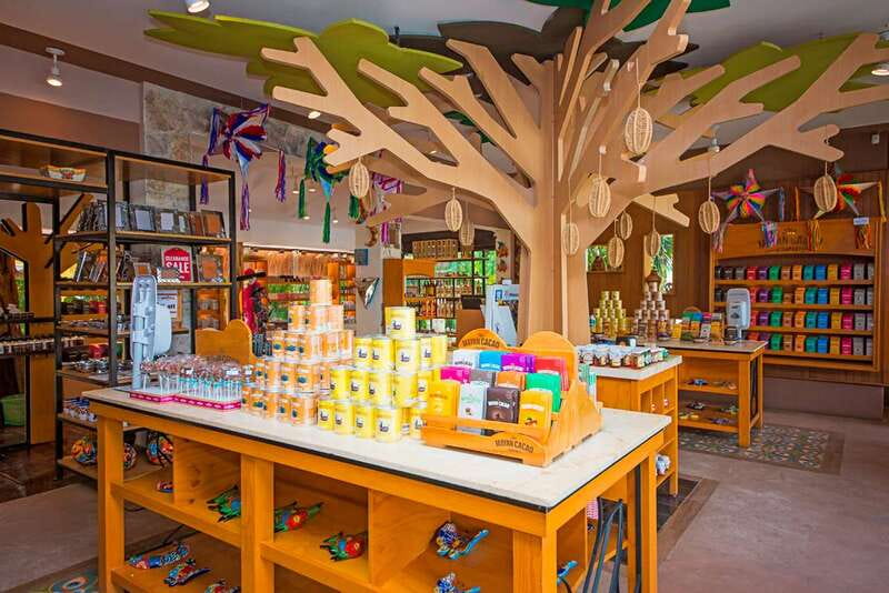 Cozumel: Chocolate Workshop at The Mayan Cacao Company - The Boutique Tasting: 13 Chocolates That Let You Compare