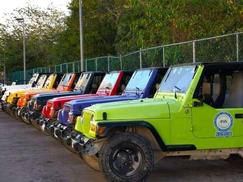 Cozumel: Classic Jeep or Buggy Island Tour to Punta Sur - The Big Selling Points You Actually Feel