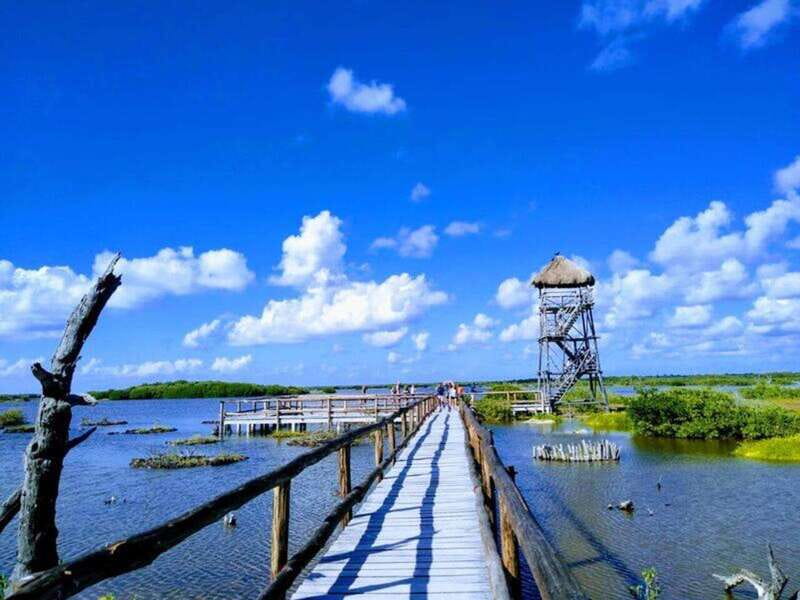 Cozumel: Classic Jeep or Buggy Island Tour to Punta Sur - Price and Value: Why $119 Can Make Sense for This Mix