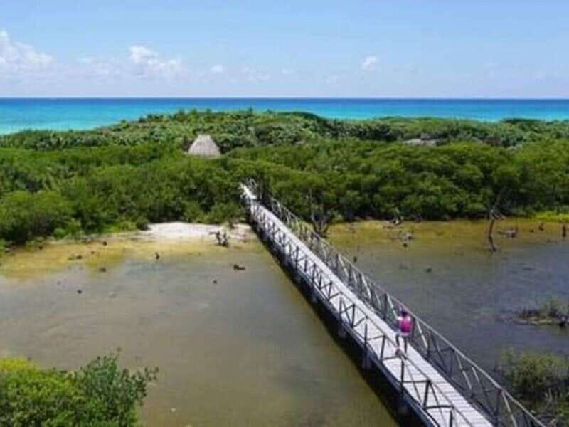 Cozumel: Classic Jeep or Buggy Island Tour to Punta Sur - Punta Sur Ecological Reserve: Lighthouse Views and the Photo Route