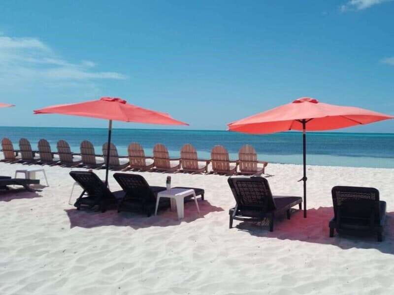 Cozumel: Classic Jeep or Buggy Island Tour to Punta Sur - Uvas Beach Club and Shore Snorkeling: Easy Water Time, Clear Rules