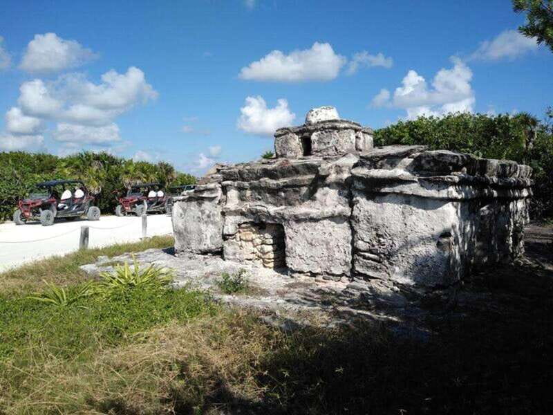 Cozumel: Classic Jeep or Buggy Island Tour to Punta Sur - Mexican Lunch by the Sea, Plus Tequila Tasting