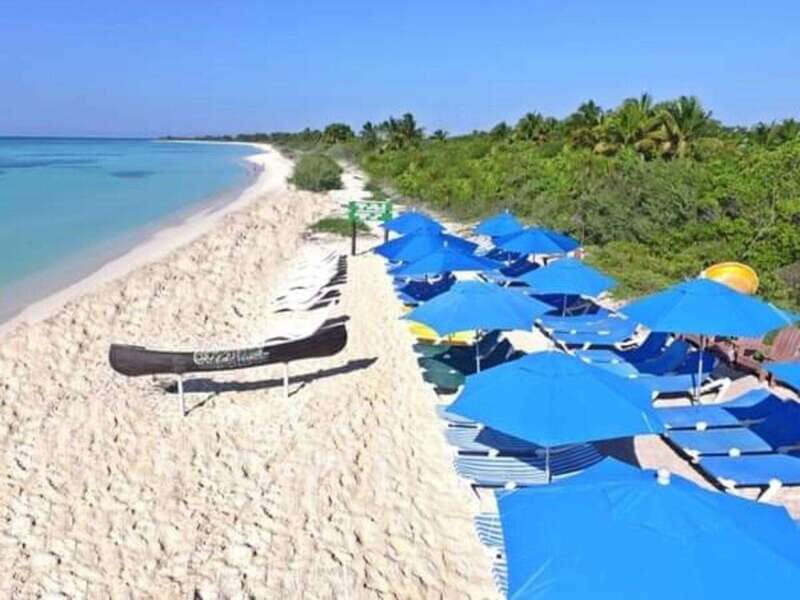 Cozumel: Classic Jeep or Buggy Island Tour to Punta Sur - Group Feel, Bilingual Guides, and Comfort Details That Add Up
