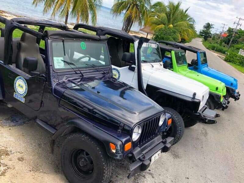 Cozumel: Classic Jeep or Buggy Island Tour to Punta Sur - Pickup in San Miguel and How the Caravan Style Works