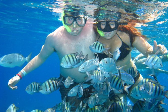 Cozumel Coral Reef Snorkeling by Glass Bottom Boat with Guide - Where you meet, and how to avoid time-warp mistakes
