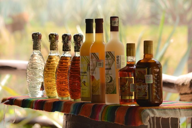 Cozumel Cultural Jeep Tour with Mayan Village and Mexican Lunch - Stop 4: La Choza Cozumel lunch, included and local