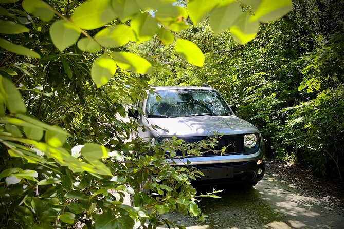Cozumel: Discover Hidden Gems w/ Private guide - Tierra Maya: Sanctuary of Living Mayan Traditions