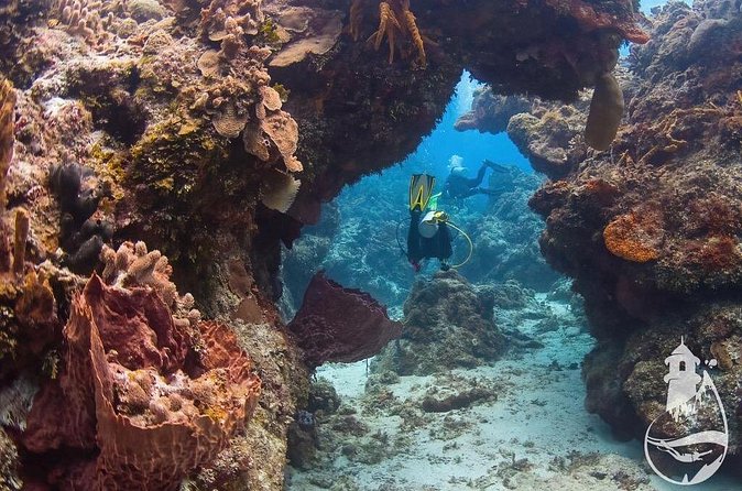 Cozumel: Discover Scuba Diving - What Is Included (and What You Should Budget For)