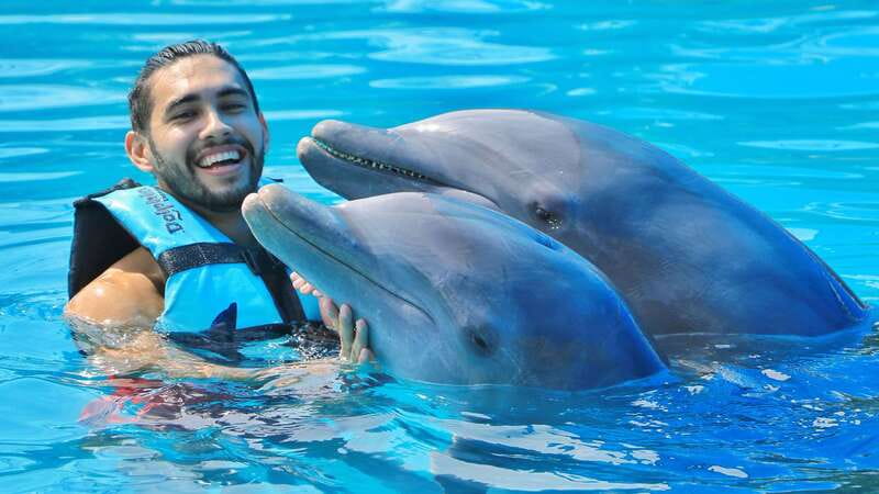 Cozumel: Dolphin Royal Connection and Manatee Interaction - Key Things I’d Bet On