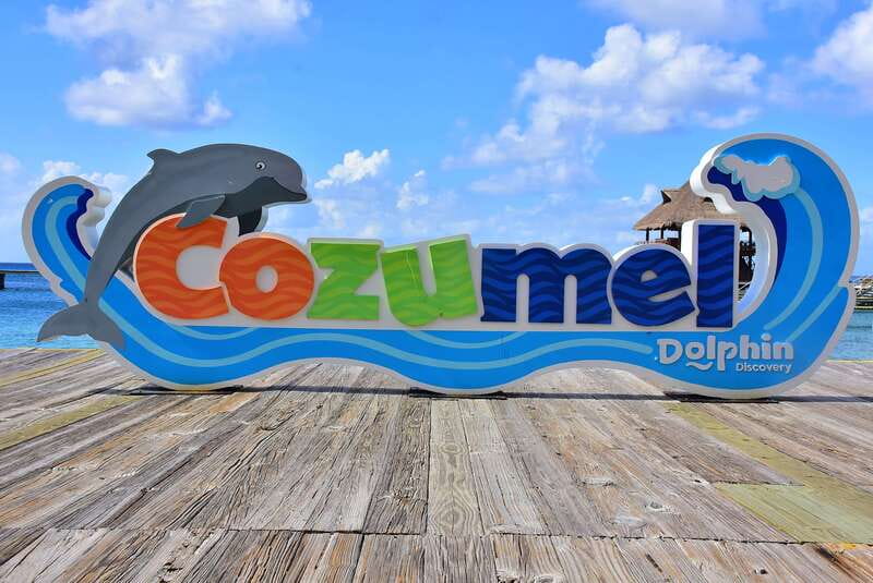 Cozumel: Dolphin Royal Connection and Manatee Interaction - Chankanaab Park and the 10-Minute Manatee Interaction