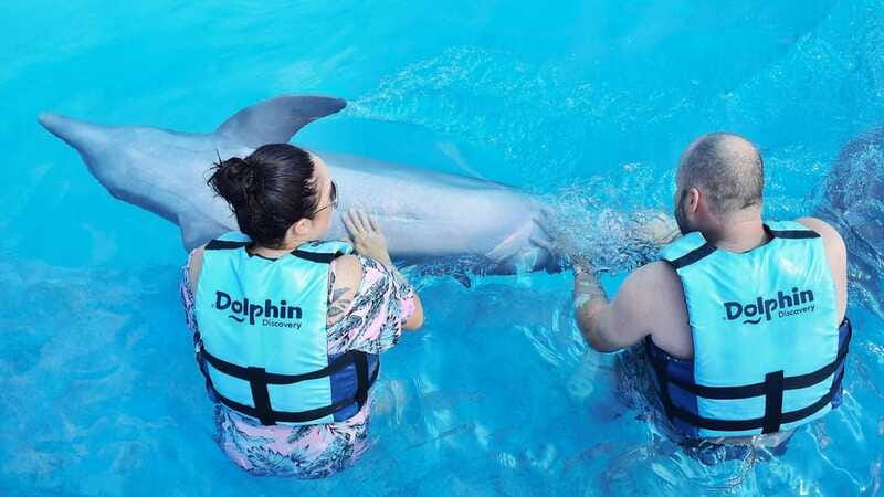 Cozumel: Dolphin Royal Connection and Manatee Interaction - Rules That Actually Change Your Experience: Cameras, Sunscreen, and Height Limits