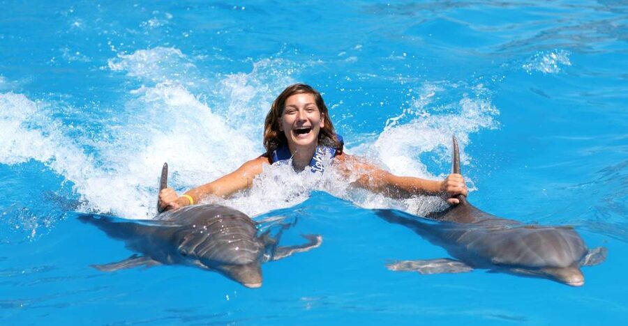 Cozumel: Dolphin Royal Connection and Manatee Interaction - How to Time It With a Cozumel Day That’s More Than Just the Swim
