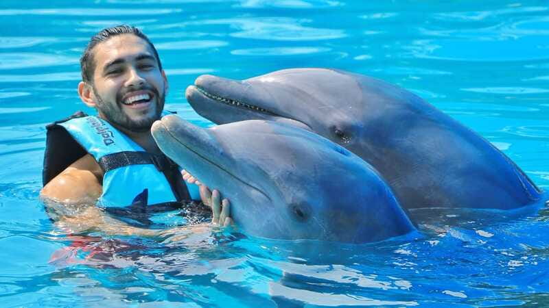 Cozumel: Dolphin Royal Connection and Manatee Interaction - Should You Book This Cozumel Dolphin and Manatee Session?