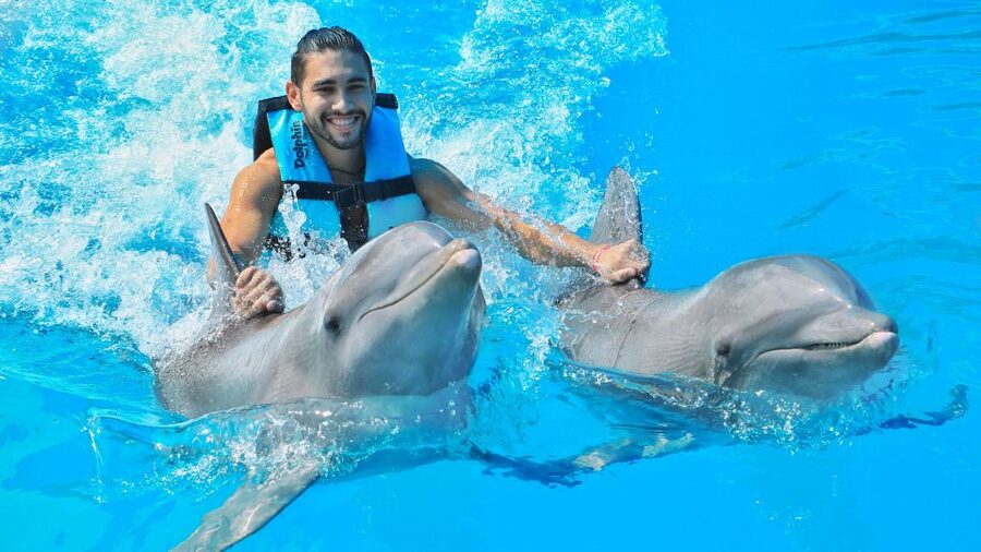 Cozumel: Dolphin Royal Connection and Manatee Interaction - FAQ