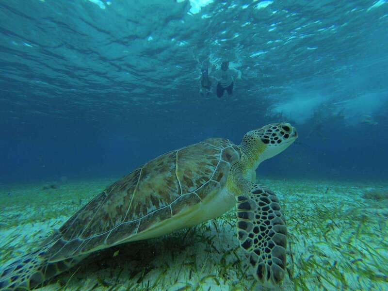 Cozumel, El Cielo: 4-Hour Private Tour - El Cielo Arenal El Cielito: Heaven time, without overcomplicating it