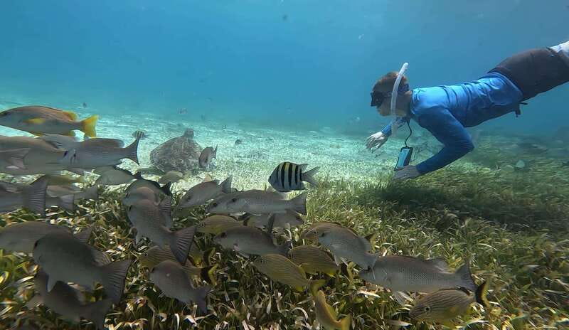 Cozumel, El Cielo: 4-Hour Private Tour - Food and drinks onboard: more than just snacks