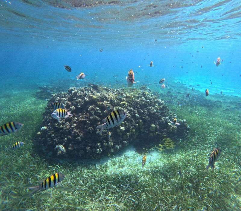 Cozumel, El Cielo: 4-Hour Private Tour - Price and what you are really paying for ($641 for up to 6)