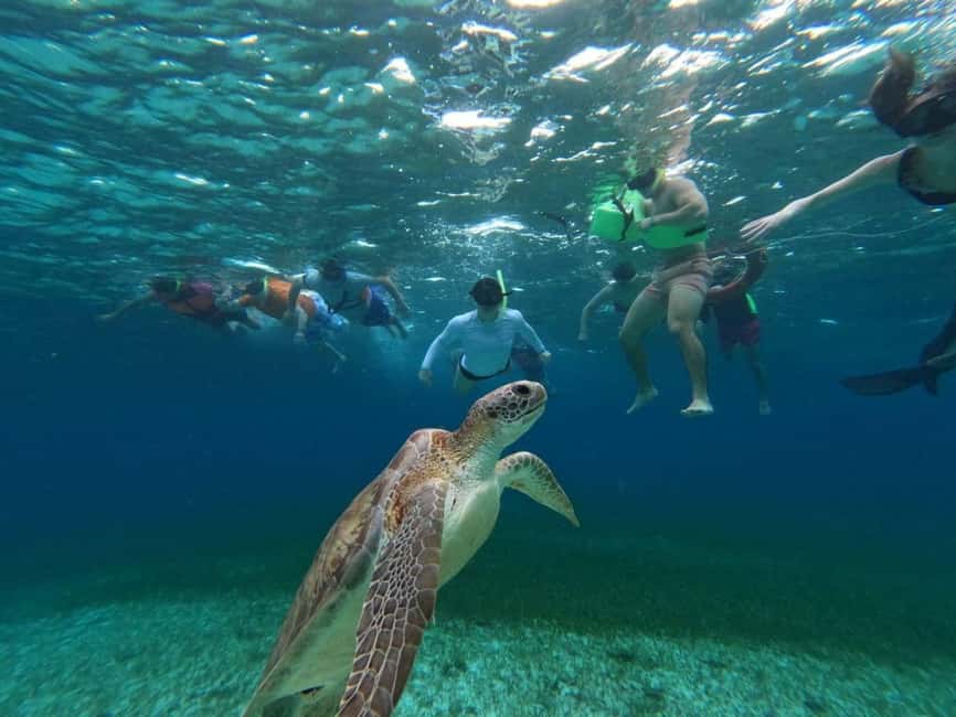 Cozumel, El Cielo: 4-Hour Shared Snorkeling Tour - Key highlights worth planning around