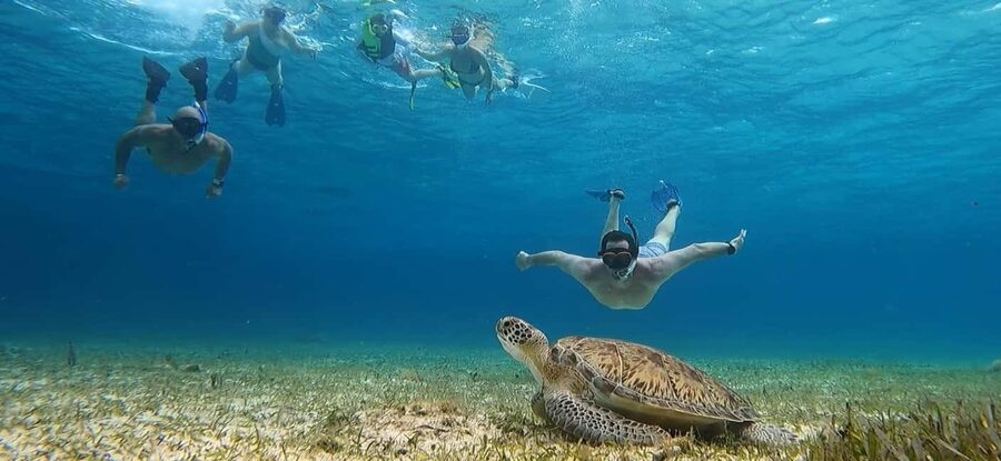Cozumel, El Cielo: 4-Hour Shared Snorkeling Tour - El Cielo Cozumel Sandbar: starfish, rays, and calm-water snorkeling