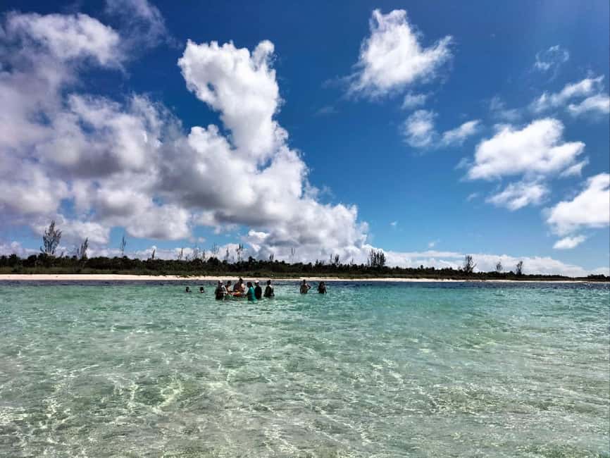 Cozumel, El Cielo: 4-Hour Shared Snorkeling Tour - Meeting point at El Mayor, blue umbrella, and the wine cellar clue