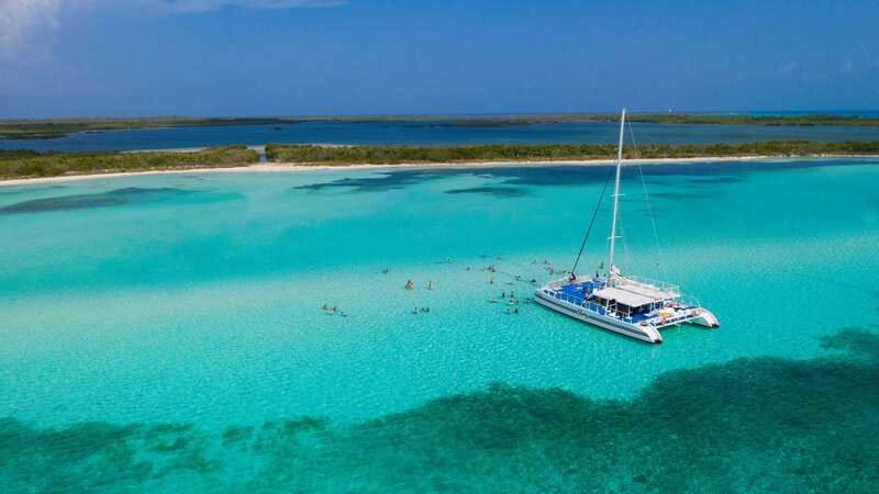 Cozumel: El Cielo, Palancar Reef, and Beach Party with Food - Key reasons this Cozumel tour gets strong marks