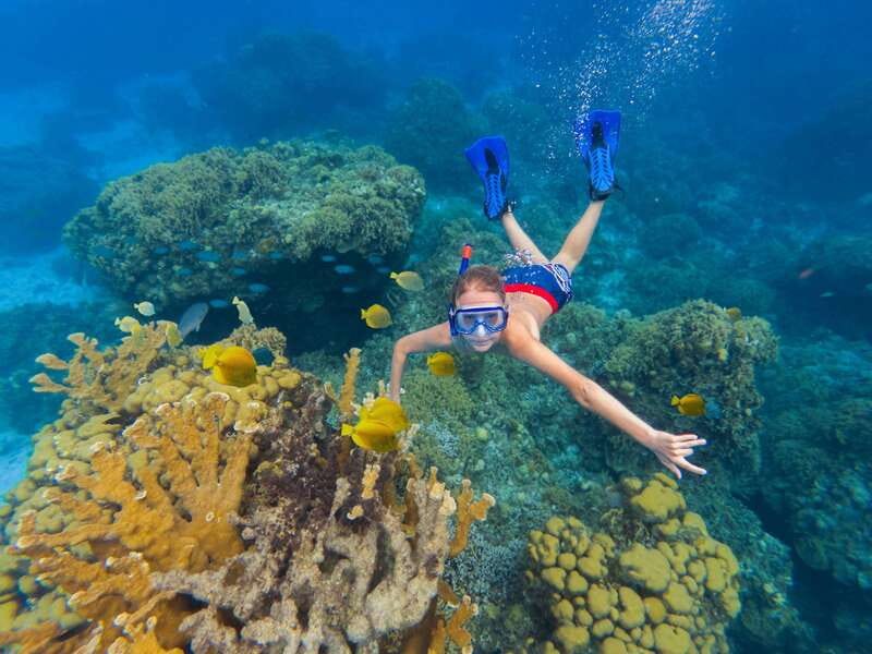 Cozumel: El Cielo, Palancar Reef, and Beach Party with Food - The Fury 65-Foot Catamaran Experience: shade, showers, and room to breathe