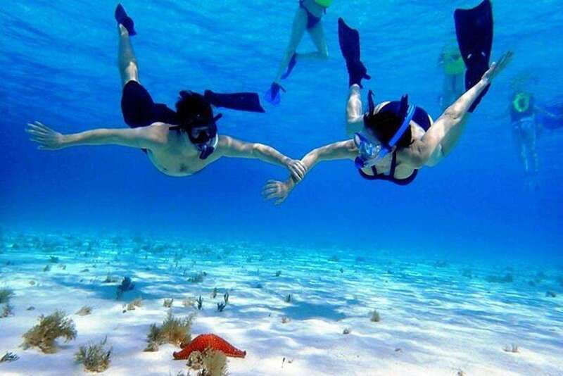 Cozumel El Cielo Sandbar and Reef Snorkeling Tour - El Cielo sandbar and the reefs: how this 5-hour route feels