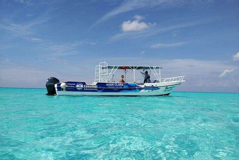 Cozumel El Cielo Sandbar and Reef Snorkeling Tour - Palancar Reef stop: the sealife you hope for