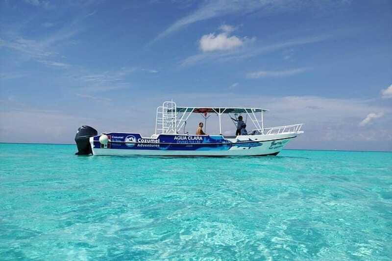 Cozumel El Cielo Sandbar and Reef Snorkeling Tour - El Cielo sandbar: starfish on the sandy bottom