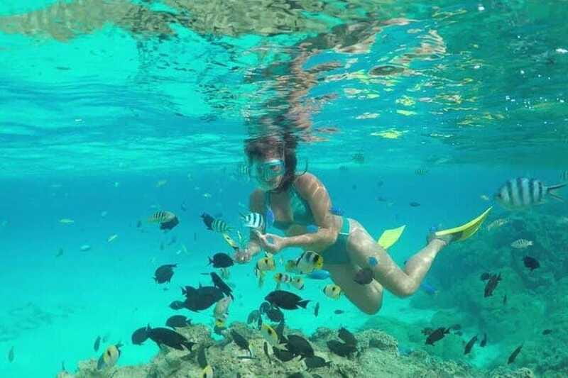 Cozumel El Cielo Sandbar and Reef Snorkeling Tour - Snacks and drinks that keep you energized, beer after snorkeling