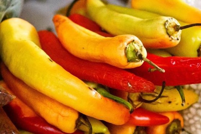 Cozumel Food Tour - Price and logistics: what $90 really covers in 3 hours