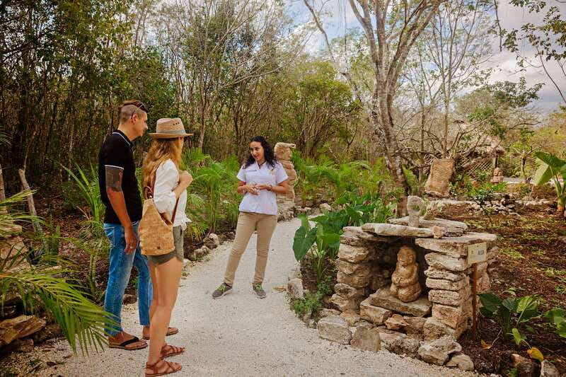 Cozumel: General Entrance to Mayan Bee Sanctuary - What You See on the Monolith Path, Ixchel and Aluxes Included