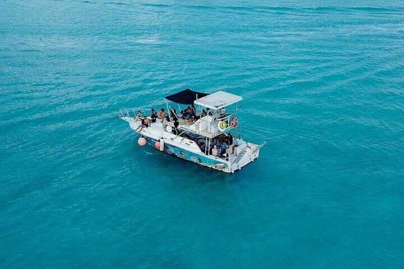 Cozumel: Glass-bottom Boat Snorkeling Adventure - Colombia Reef: Your First Look at Reef Life