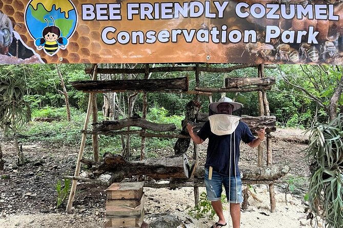 Cozumel: Hands-On Chocolate, Tortilla, Salsa & Honey Experience - Key highlights you’ll feel in your hands (not just hear about)