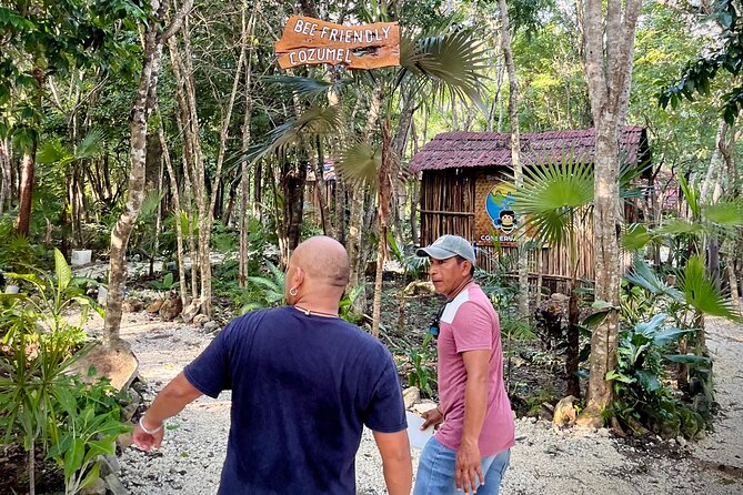 Cozumel: Hands-On Chocolate, Tortilla, Salsa & Honey Experience - The 4-hour flow: how the experience stays structured but flexible