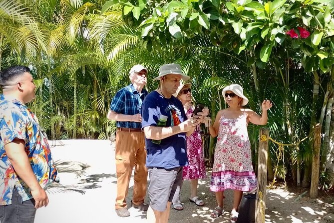Cozumel: Hands-On Chocolate, Tortilla, Salsa & Honey Experience - Value and logistics: why $249 per group can work well