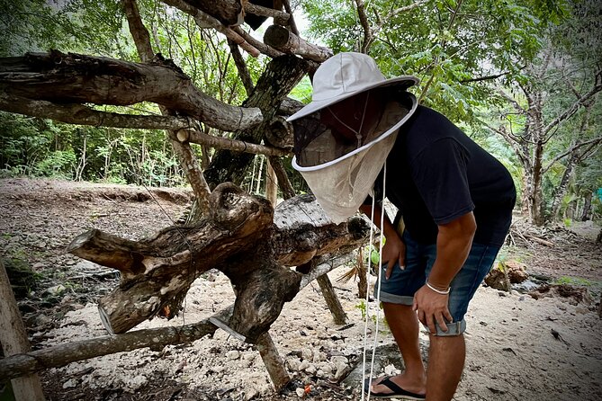 Cozumel: Hands-On Chocolate, Tortilla, Salsa & Honey Experience - Sacred Bees honey tasting, including Melipona: what you’re really learning