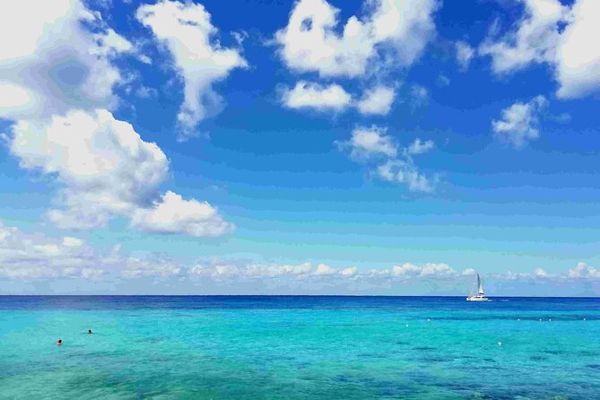 Cozumel Island Tour: Mayan Ruins, Reefs, and Beach Escape - Key highlights at a glance