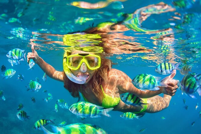 Cozumel Island Tour: Mayan Ruins, Reefs, and Beach Escape - Scenic drive around the island, and how to make the most of the photo stops