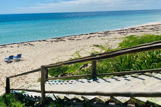 Cozumel Jeep Adventure Natural Cenote & Mayan Experience OTOCH - San Martin Public Beach: ceviche with a real Caribbean view