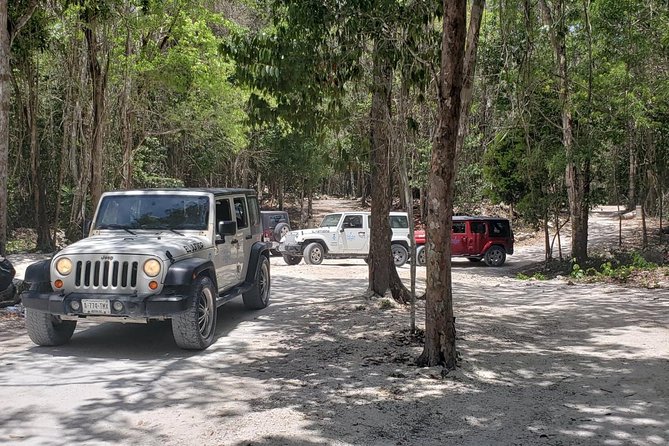 Cozumel Jeep Adventure to Jade Caverns with Lunch and Snorkel - Why this Cozumel jeep day feels like more than a ride