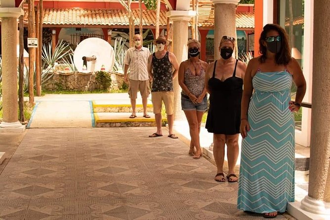 Cozumel Jeep Adventure to Jade Caverns with Lunch and Snorkel - Rancho Alejandra: tequila tasting plus ranch animals