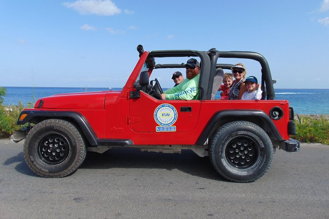 Cozumel Jeep and Snorkel Adventure with Lunch at Punta Sur Park - Snorkeling in the protected bay, with turtles and tropical fish