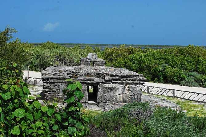 Cozumel Jeep and Snorkel Adventure with Lunch at Punta Sur Park - Who guides you matters, and the names show a pattern
