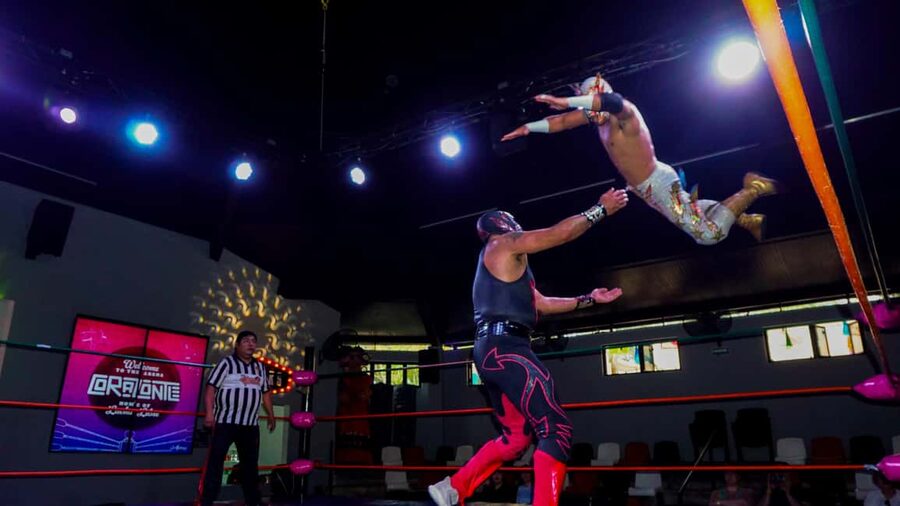 Cozumel Lucha Libre Experience! Meet & Greet Package - Barriecito Check-In: Finding the Alebrije Fast