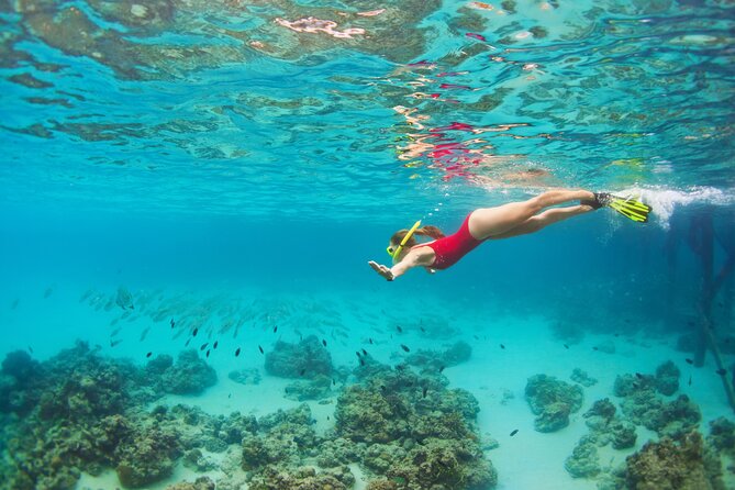 Cozumel Luxury Sailing & Snorkeling Cruise Experience - Snorkeling Gear, Paddleboards, and the Safety Culture
