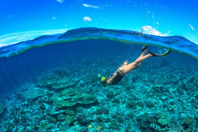 Cozumel Luxury Sailing & Snorkeling Cruise Experience - Who This Tour Fits Best in Cozumel